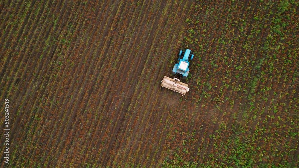 Farm tractor with disk plow preparing land for sowing. Tractor with harrows prepares the agricultural land for planting crop. Cultivation of farmland by disc harrows. Agricultural concept. Farm tractor with disk plow preparing land for sowing. Tractor with harrows prepares the agricultural land for planting crop. Cultivation of farmland by disc harrows. Agricultural concept.
