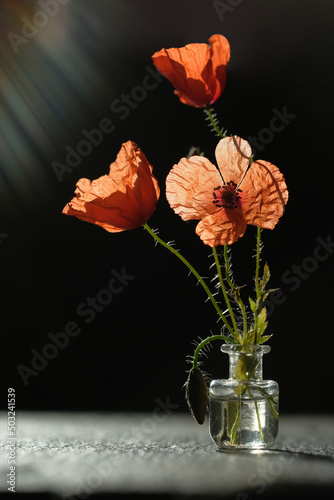 Glass bottle of red poppies stands on a black stone surface.