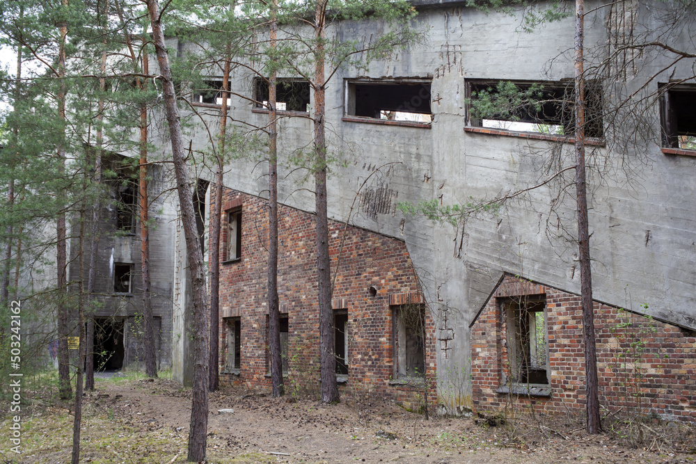 Naklejka premium Opuszczony stary budynek w środku lasu po fabryce amunicji w okolicach Nowogrodu Bobrzańskiego