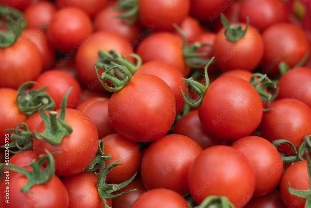 Fresh red tomato fruits background.
