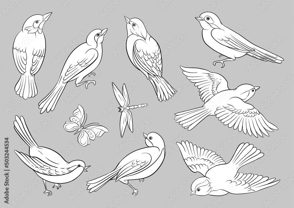Set of birds: sparrow, finches, butterflies, dragonflies. Clip art, set of elements for design Hand drawing vector illustration.