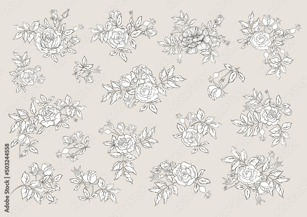 Rose flowers on branches. Clip art, set of elements for design Vector illustration. In botanical style Isolated on white background.