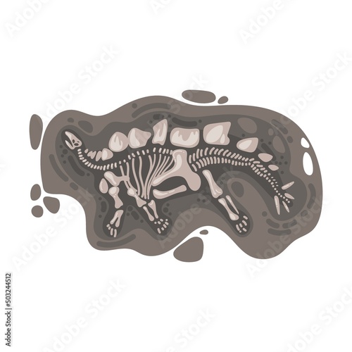 peaceful herbivore Dinosaur fossil vector. Archeology, paleontology. Bones or skeleton of prehistoric reptiles found underground during excavations isolated on white background