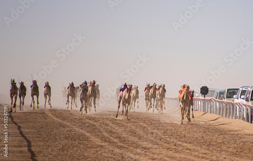 One of the challenges of Arab camel racing
