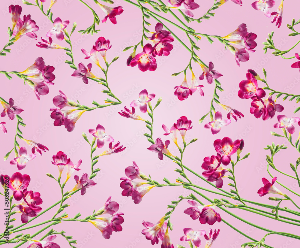 Floral pattern made with purple blooming summer flowers and green stems at pink background. Floral pattern made with purple blooming summer flowers and green stems at pink background.