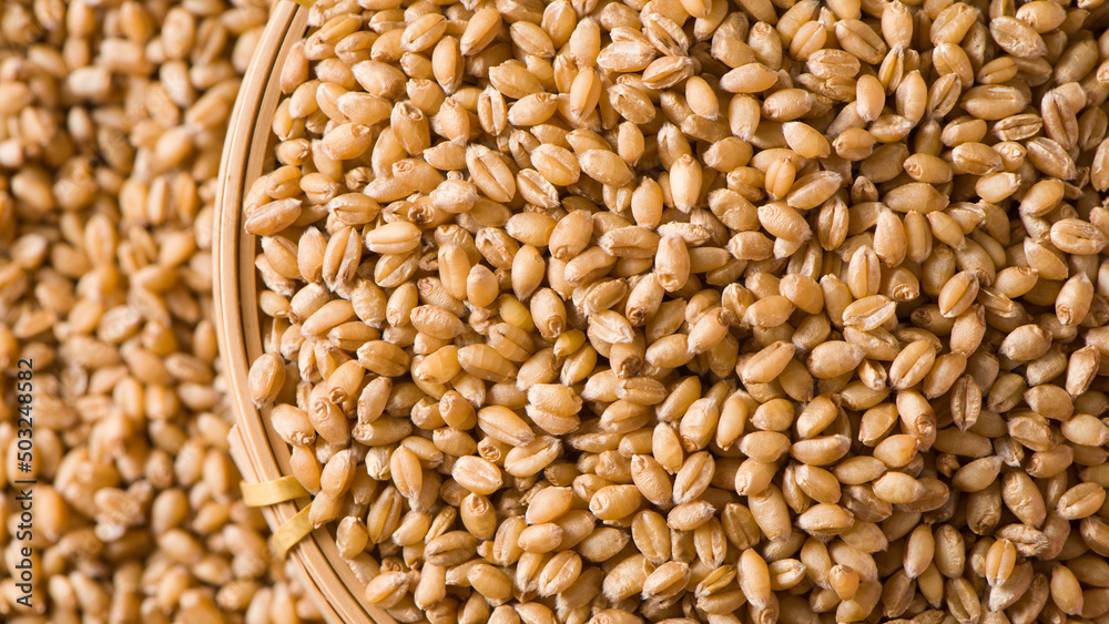 Uncooked bulgur wheat seed. Background and texture. Uncooked bulgur wheat seed. Background and texture.