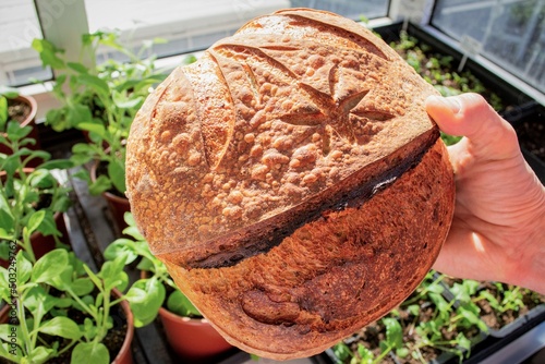 Homemade fresh bread in hand