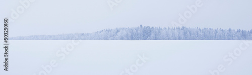 snow covered trees