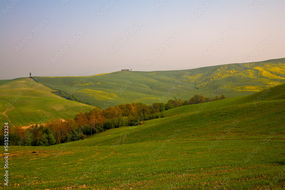 Fototapeta premium Crete Senesi, panorami della provincia di Siena. Toscana
