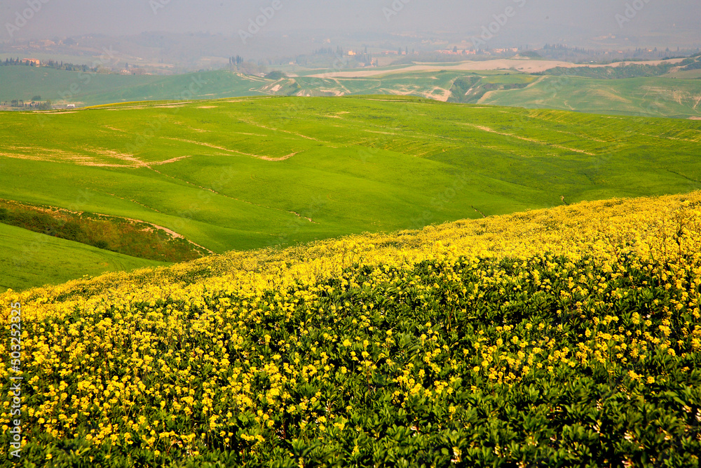 Crete Senesi, panorami della provincia di Siena. Toscana