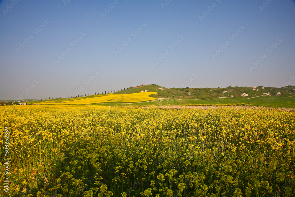 Crete Senesi, panorami della provincia di Siena. Toscana Crete Senesi, panorami della provincia di Siena. Toscana