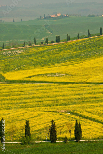 Crete Senesi, panorami della provincia di Siena. Toscana