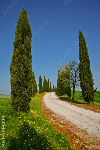 Crete Senesi, panorami della provincia di Siena. Toscana