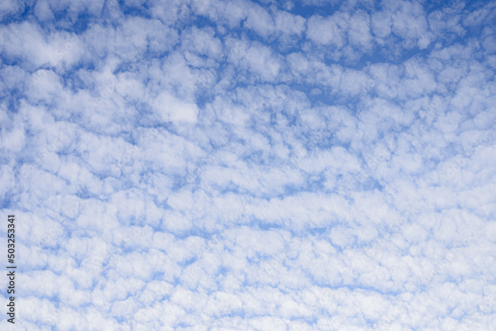 White cloud spread all around the blue sky