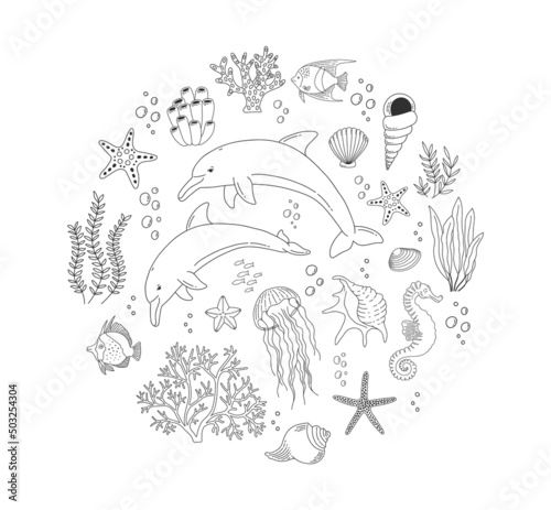 Set with hand drawn sea life elements. Beautiful underwater world in line style. Vector outline set of ocean objects. Fish, jellyfish, dolphins, shells, seaweed and corals. Nautical icons collection.