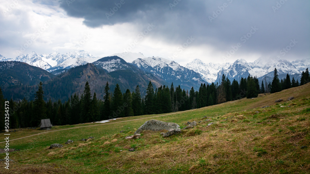góry Tatry - widok z Rusinowej Polany
