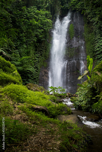 Bright summer high waterfall in deep wild jungle of Bali with saturated tropical green forest - plants  leaves  trees  moss and shining falling water  vertical.  Scenic landscape from travel.