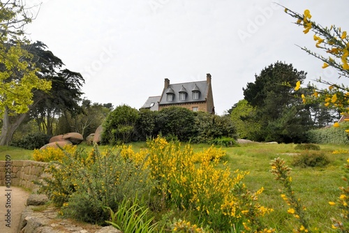 Φωτογραφία Les ajoncs de la côte de granit rose en Bretagne