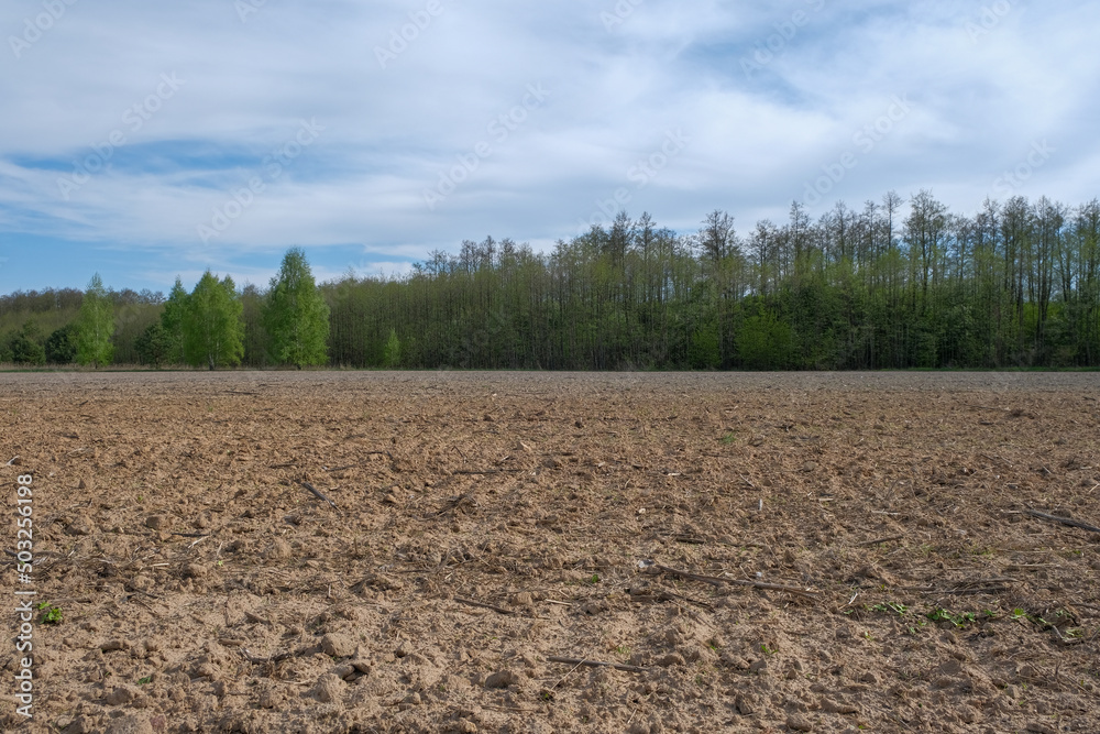Spring landscape with plowed land and forest with blue sky. Spring landscape with plowed land and forest with blue sky.