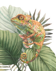 Wandcirkels Olijfgroen Aquarel kameleon tussen tropische bladeren  © ldinka