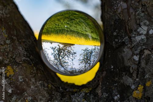 Focus on taking care of nature and the climate shown with nature encased in a crystal ball photo