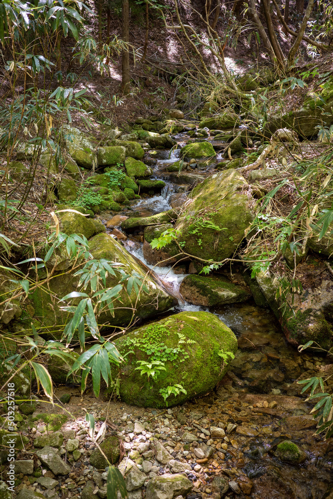 Obraz premium 日本の岡山県津山市の天狗岩への登山風景