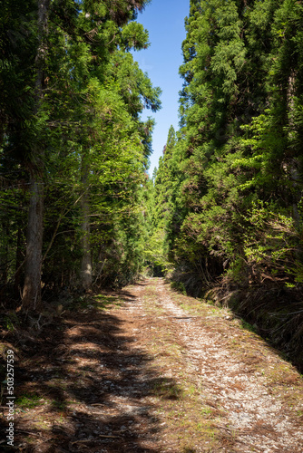 日本の岡山県津山市の天狗岩への登山風景 © 仁 藤原