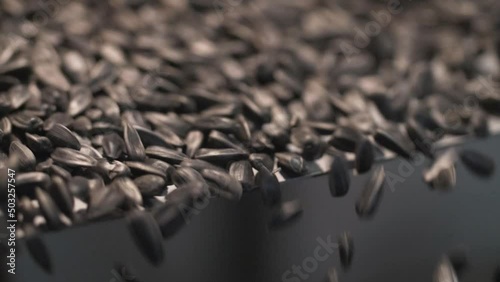 This stock video shows a conveyor belt with sunflower seeds. This video will decorate your projects related to agriculture, sunflower oil production, processing, drying, cleaning of sunflower seeds.