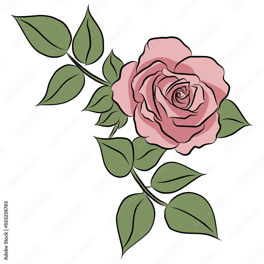 Beautiful rose bouquet flowers and green leaves growth on white background,hand drawn,creative with illustration in flat design.Floral pattern,decorative series for wallpaper.Valentine day concept. Beautiful rose bouquet flowers and green leaves growth on white background,hand drawn,creative with illustration in flat design.Floral pattern,decorative series for wallpaper.Valentine day concept.
