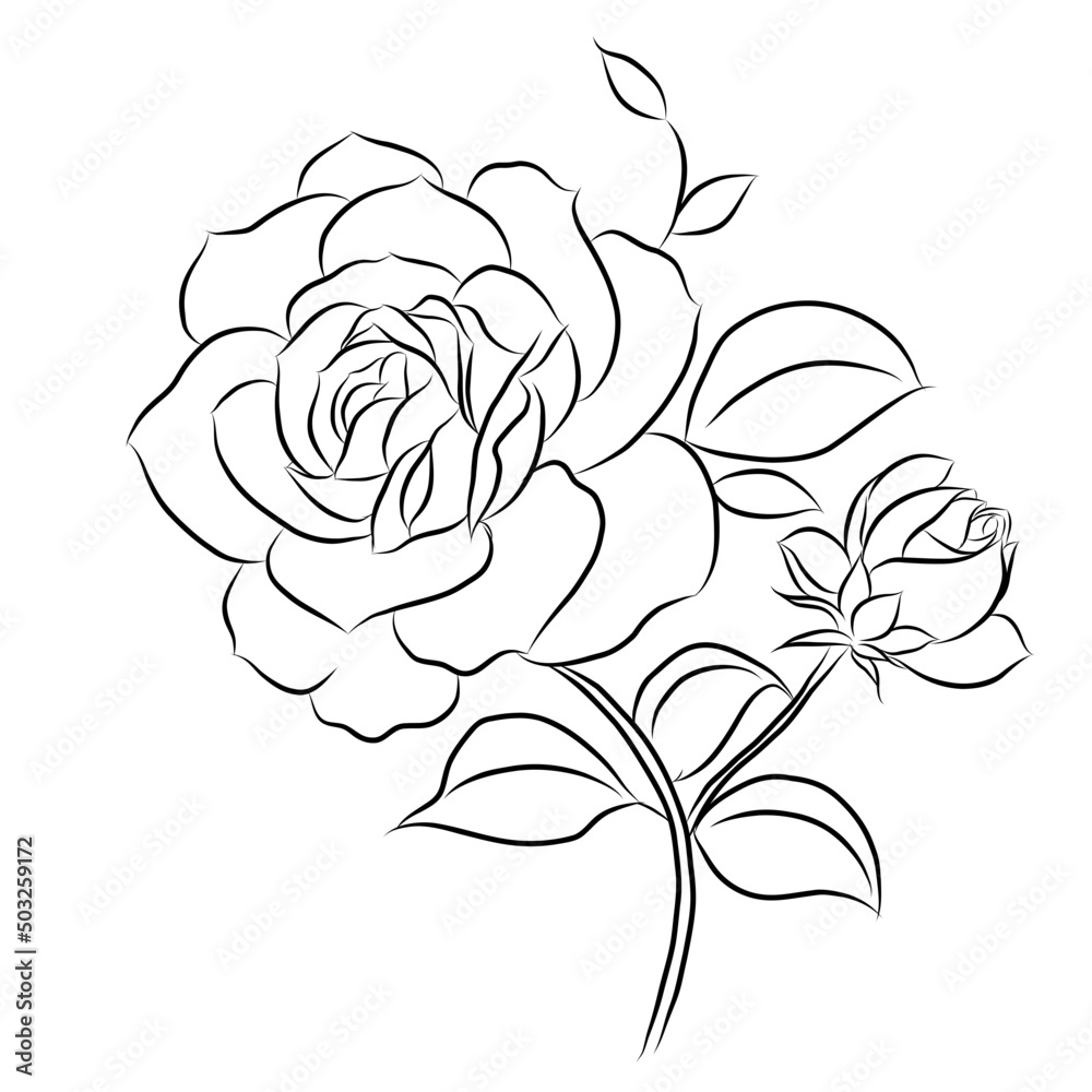 Beautiful rose bouquet flowers and green leaves growth on white background,hand drawn,creative with illustration in flat design.Floral pattern,decorative series for wallpaper.Valentine day concept. Beautiful rose bouquet flowers and green leaves growth on white background,hand drawn,creative with illustration in flat design.Floral pattern,decorative series for wallpaper.Valentine day concept.