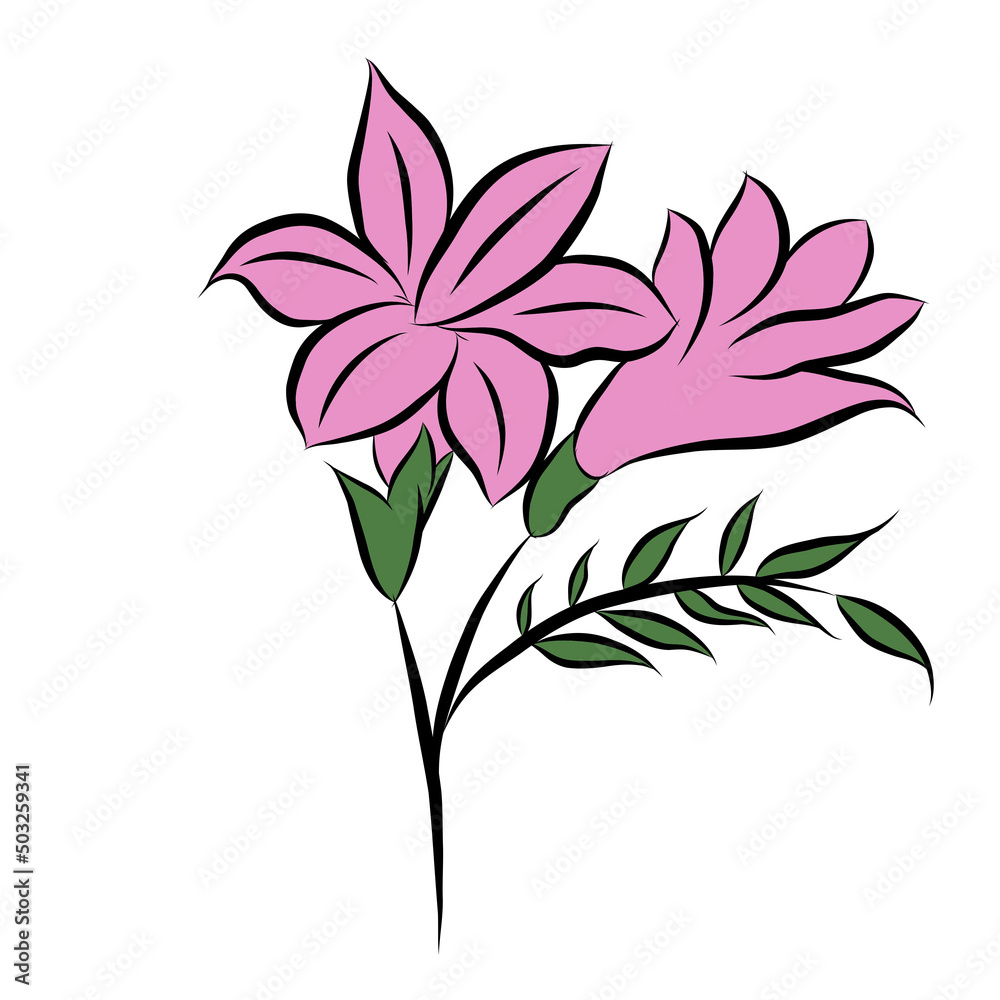 Beautiful rose bouquet flowers and green leaves growth on white background,hand drawn,creative with illustration in flat design.Floral pattern,decorative series for wallpaper.Valentine day concept. Beautiful rose bouquet flowers and green leaves growth on white background,hand drawn,creative with illustration in flat design.Floral pattern,decorative series for wallpaper.Valentine day concept.