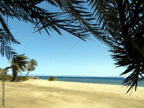 Fototapeta Naklejka Na Ścianę i Meble -  Palm beach with sea view and mountain