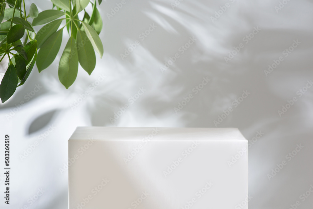 blank white pedestal mockup on gray background