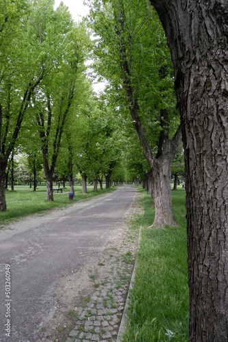 path in the park