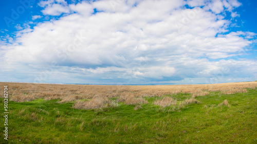 Beautiful Landscape image -  grass and sky