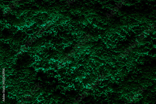 green porous grainy texture for background