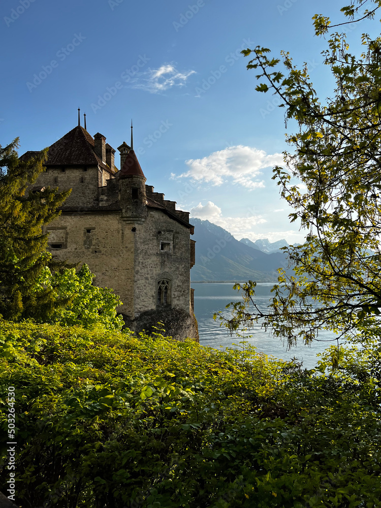 Obraz premium castle in the mountains