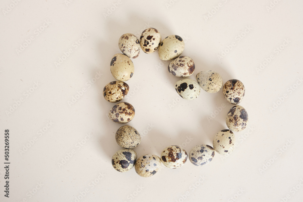 quail eggs on light texture background copy space quail eggs on light texture background copy space