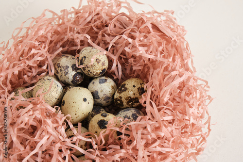 quail eggs on light texture background copy space