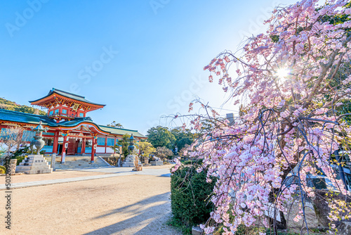 春の防府天満宮　山口県防府市　Hofu Tenmangu Shrine in Spring. Yamaguchi-ken Hofu city. photo