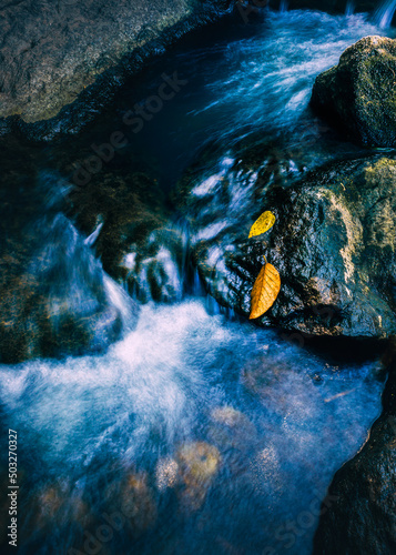 Flow..... photo