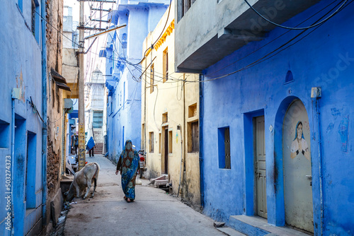 Exterior of blue houses in Bundi, Rajasthan, India, Asia photo