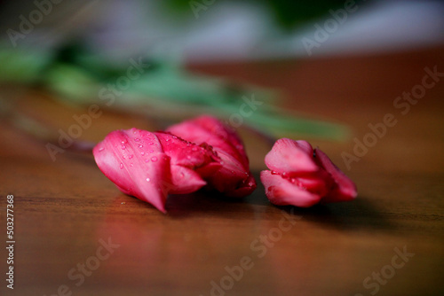 Fototapeta Naklejka Na Ścianę i Meble -  Pink tulips on a wooden surface