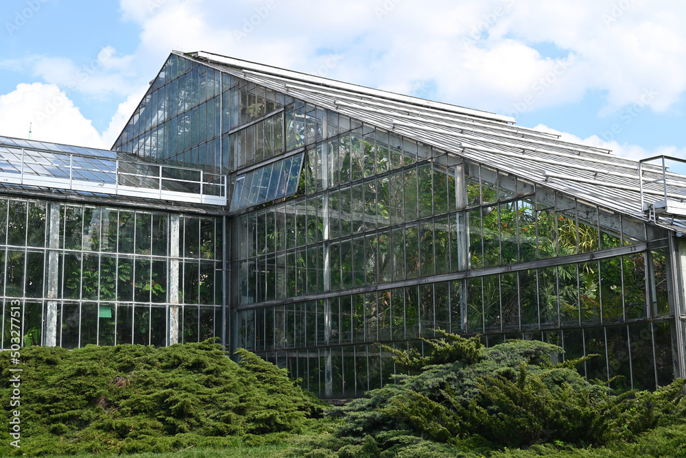 Palmiarnia building in the Park Wilsona, Poznan. Beautiful glass house in the city. Greenhouse with plants inside. Palmiarnia building in the Park Wilsona, Poznan. Beautiful glass house in the city. Greenhouse with plants inside.