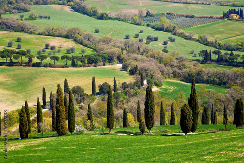 Val d'Orcia, panorami collinari