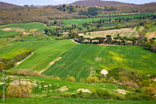 Val d'Orcia, panorami collinari