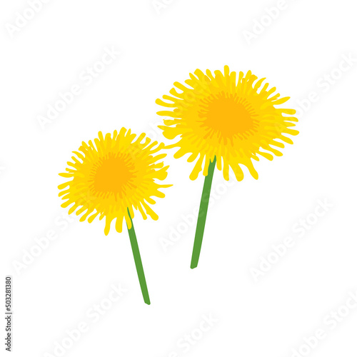 Vector illustration of yellow dandelion with green leaves