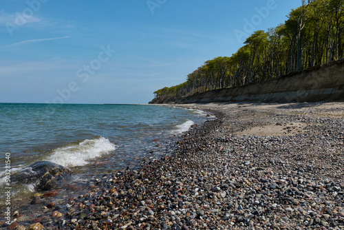 Fototapeta Naklejka Na Ścianę i Meble -  Beach, Baltic Sea and forest (Gespensterwald Nienhagen)