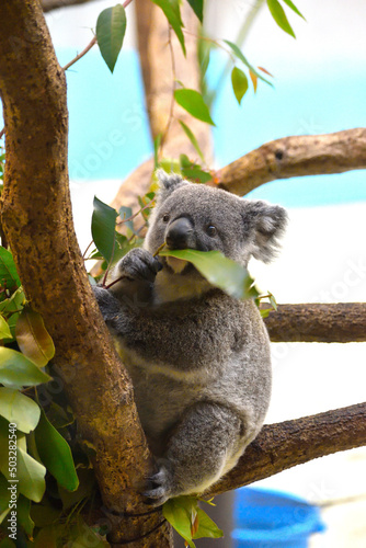 Photography 多摩動物公園