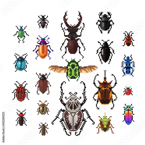Set of beetles, vector bugs in pixel art style isolated  on white background